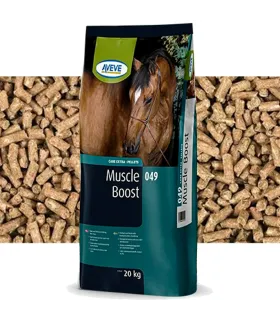 Aveve Muscle Boost - Hestefoder - HesteGrovvaren