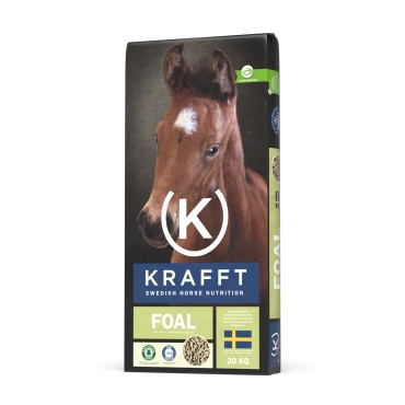 Krafft Foal