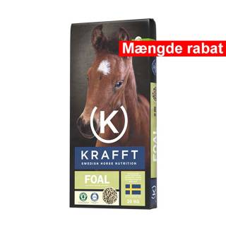 Krafft Foal