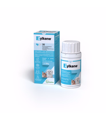 Zylkéne til hund og kat - Tilskudsfoder hud og kat - HesteGrovvaren