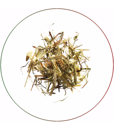 Agrobs Grünhafer - Hestefoder - HesteGrovvaren