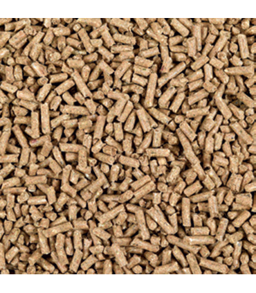 Aveve Sport Basic – Havrefrit fuldfoder til sport-, avls- og ungheste | HesteGrovvaren