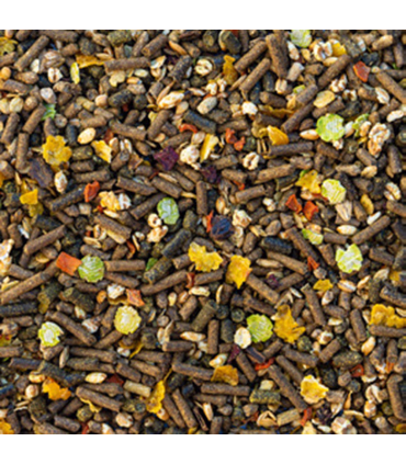 Aveve Balance Hestefoder – Skånsomt og fiberrigt foder uden havre | HesteGrovvare