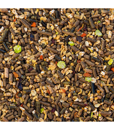 Aveve Senior – Skånsomt foder til ældre heste | HesteGrovvaren