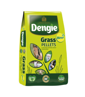 Dengie Grass Pellets - Hestefoder - HesteGrovvaren