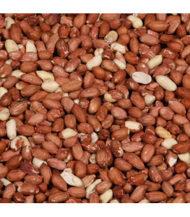 Afskallede jordnødder til vildtfugle – Energi året rundt | HesteGrovvaren