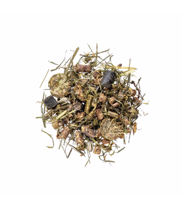 AGROBS Spitzenreiter Magenmüsli – Kornfrit hestefoder til sensitive maver | HesteGrovvaren