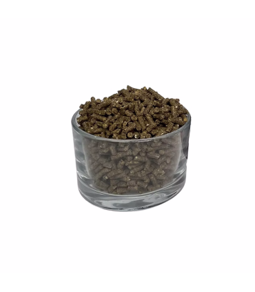 HorseLux Gastric Boost – tilskud til heste med sart mave og behov for bedre fordøjelse.