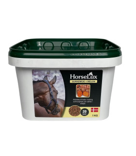 HorseLux Gurkemeje + Melon – naturligt tilskud med gurkemeje og antioxidant fra melon.