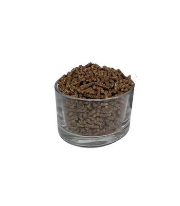 Stabilizer til heste – understøtter stofskifte og hjælper hesten med at trives på græs.