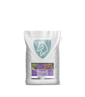 Nordic Artiskok – naturlig støtte til fordøjelse og leverfunktion for heste.