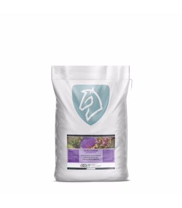 Nordic Artiskok – naturlig støtte til fordøjelse og leverfunktion for heste.