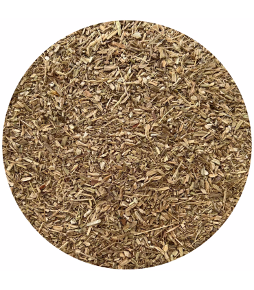 Nordic Cissus Quadrangularis – naturlig støtte til led og knogler.