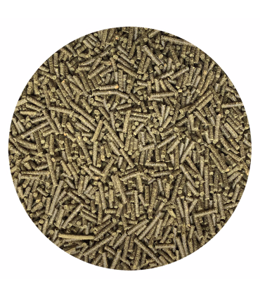 Nordic E-Power – naturligt tilskud med E-vitamin og lysin til stærke og udholdende heste.