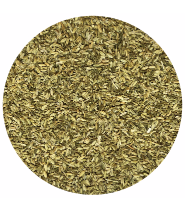 Nordic Fennikel – naturligt tilskud mod oppustethed og for bedre mælkeproduktion hos hopper.