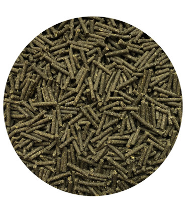 Nordic Hepa – naturlig leverpleje til heste for optimal sundhed.