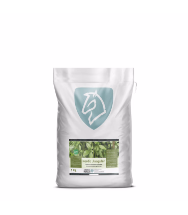 Nordic Jiaogulan – naturlig støtte til hov, muskler og tarmfunktion hos heste.