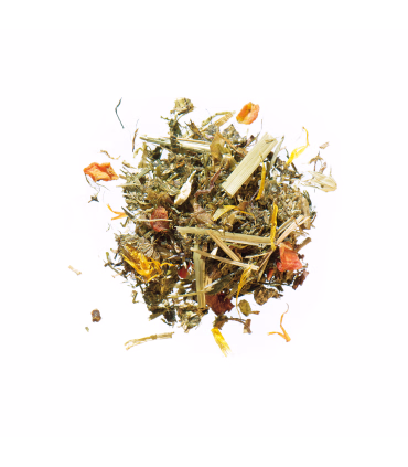 Agrobs Alpengrün Müsli – naturlig, kornfri og fiberrig til alle heste.