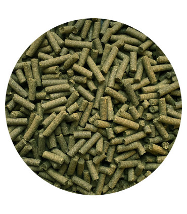 Nordic Blood Sugar Balance + – naturligt hestetilskud til stabilisering og vægtstyring.