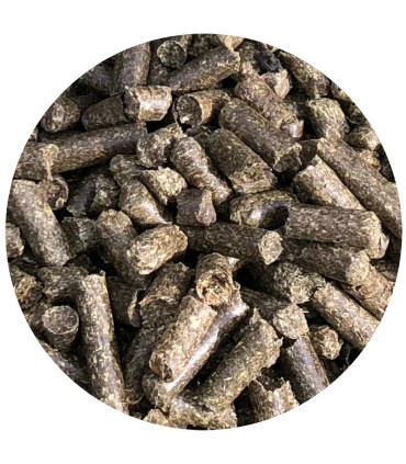 Nordic E-Cobs – Pelleteret esparsette til heste, fyldt med naturlige fibre og elektrolytter.