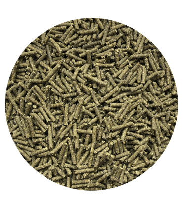 Nordic FlexAbility+ – naturligt tilskudsfoder til heste med fokus på bevægelighed og velbefindende.