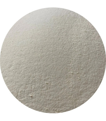 Nordic Foal Milk+ – mælkeerstatning til føl, klar til brug hos HesteGrovvaren