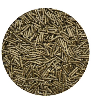 Nordic Gastric Aid – naturlig støtte til hestens mave-tarm.