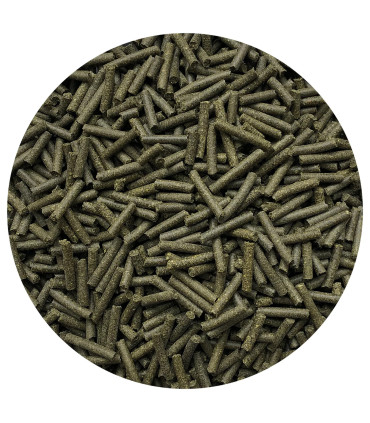 Nordic ICE Seaweed – 100% islandsk tang i praktiske piller til heste.