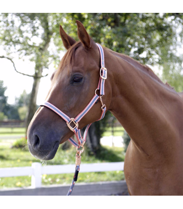 Covalliero Grime Cora Pink - Rideudstyr - HesteGrovvaren