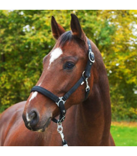 Covalliero Grime Dexter Sort - Rideudstyr - HesteGrovvaren