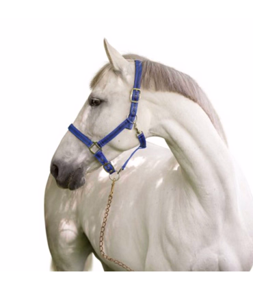 Covalliero Grime Mustang - blå/sort  - Rideudstyr - HesteGrovvaren