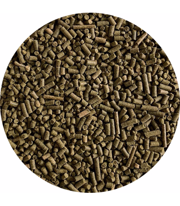 Nordic Sport – korn- og melassefrit krybbefoder til sportsheste