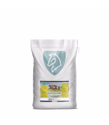 Nordic Strong Clean Balance – tilskud til hestens tarmsystem og lever.