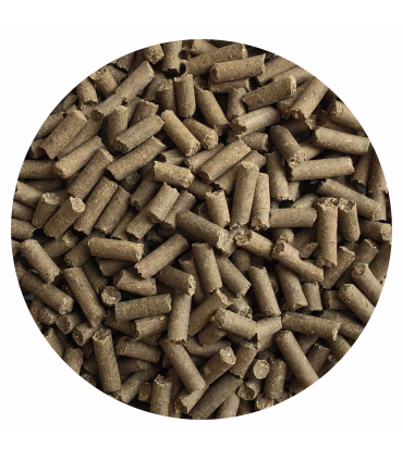 Nordic Strong Clean Balance – tilskud til hestens tarmsystem og lever.