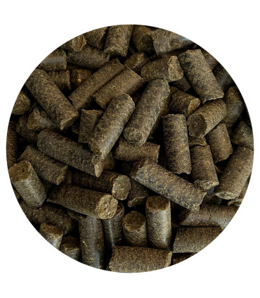 Nordic Summer Sticks – vitamin- og mineraltilskud i praktiske sticks til heste på sommergræs.