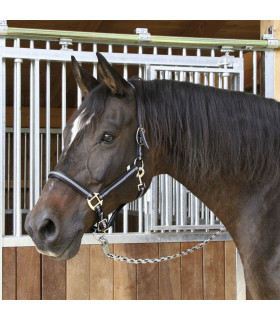 Covalliero Grime Mustang - sort/sølv - Rideudstyr - HesteGrovvaren