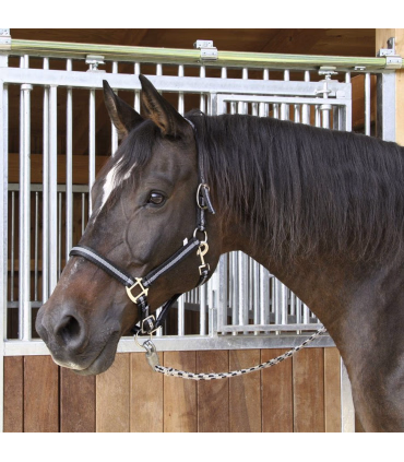 Covalliero Grime Mustang - sort/sølv - Rideudstyr - HesteGrovvaren
