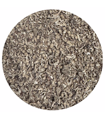 Nordic Xtra Energy – energi og udholdenhed til konkurrenceheste