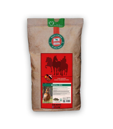 Salvana Mineral Brix – vitamin- og mineralbolcher til nem daglig tildeling