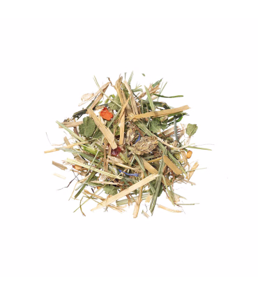 AGROBS LeichtGenuss | HesteGrovvaren