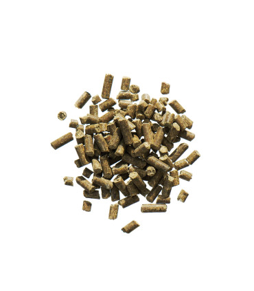 AGROBS Seniormineral – koncentreret vitamin- og mineraltilskud til ældre heste.