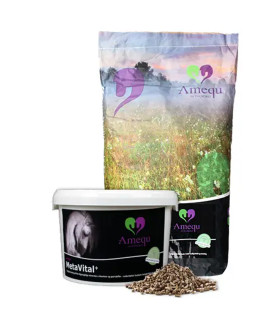 MetaVital+ – koncentreret tilskud til heste, til daglig fodring eller kur/booster.