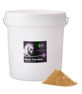 Amequ Ølgær Yea-Sacc til heste – ølgær og mask som bidrager til stabil fordøjelse og pels.