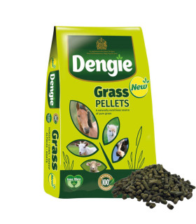 Dengie Grass Pellets - Hestefoder - HesteGrovvaren