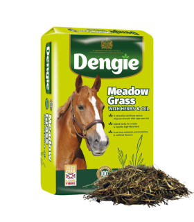 Dengie Meadow Grass  - Hestefoder - HesteGrovvaren