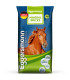 Eggersmann Mineral Bricks