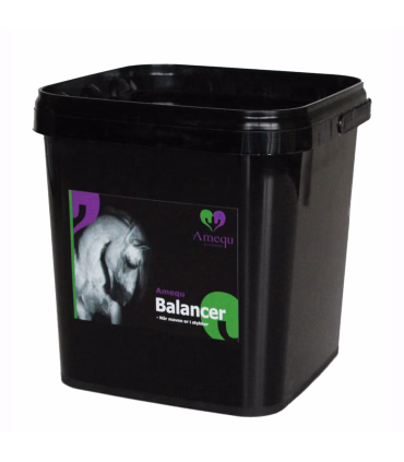 Amequ Balancer - Hestefoder - HesteGrovvaren