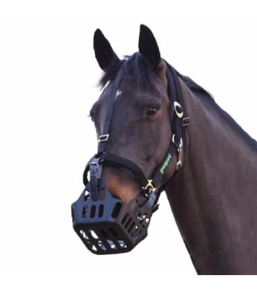 Greenguard sikkerheds grime - Rideudstyr - HesteGrovvaren