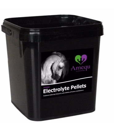 Amequ Electrolyte Pellets - Hestetilskud - HesteGrovvaren