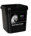 Amequ Electrolyte Pellets